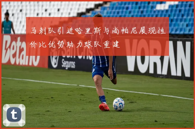 马刺队引进哈里斯与尚帕尼展现性价比优势助力球队重建