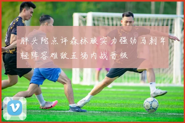 胖头陀点评森林狼实力强劲马刺年轻阵容难敌五场内战晋级